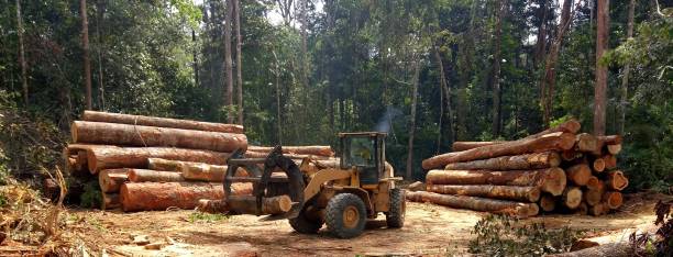 Soil Testing and Treatment in Carnesville, GA